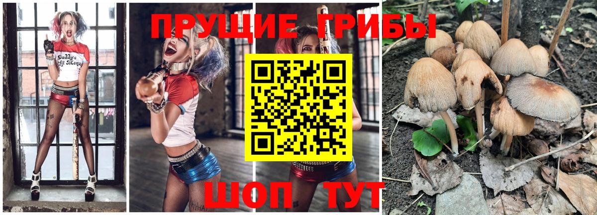 Горячий Ключ  Псилоцибиновые грибы Psilocybe  Вход с VPN 