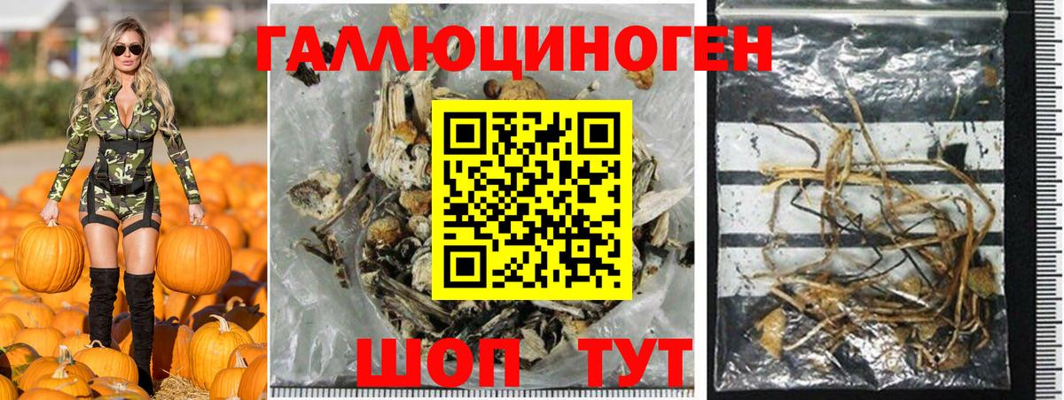 Галлюциногенные грибы MAGIC MUSHROOMS Горячий Ключ
