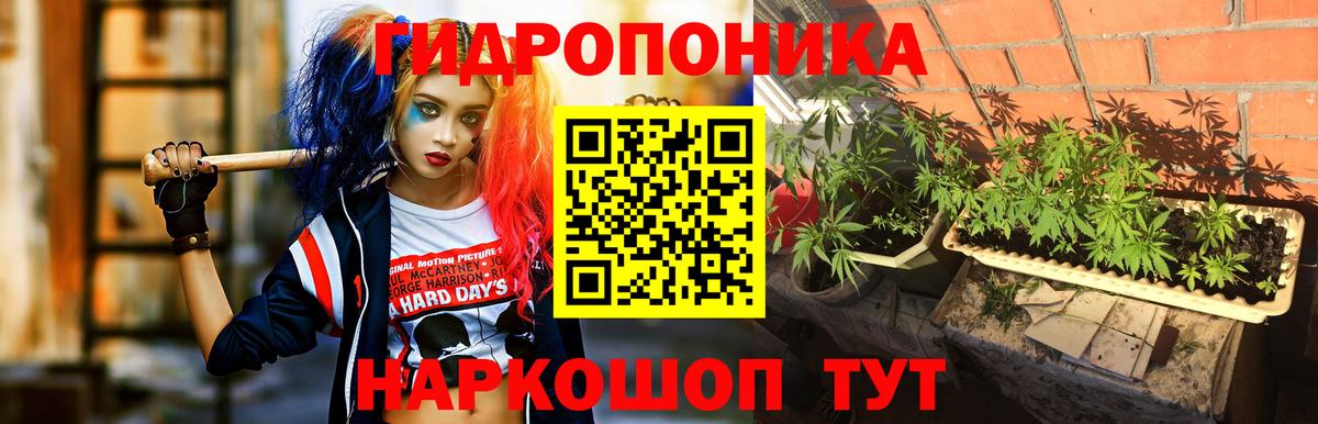 Конопля LSD WEED Горячий Ключ
